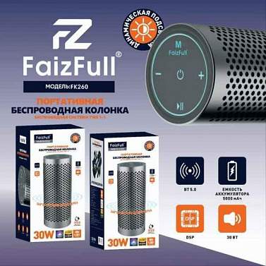 Колонка портативная FaizFull FK260, 30 Вт, 5000 мАч, черная