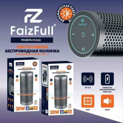Колонка портативная FaizFull FK260, 30 Вт, 5000 мАч, черная