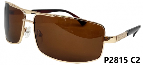 Очки солнцезащитные поляризационные POLARIZED EGEBAR P2815 C2